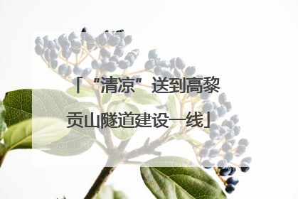 “清凉”送到高黎贡山隧道建设一线