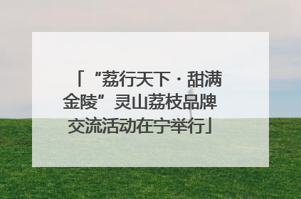 “荔行天下・甜满金陵”灵山荔枝品牌交流活动在宁举行