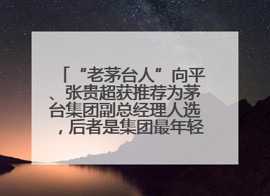 “老茅台人”向平、张贵超获推荐为茅台集团副总经理人选，后者是集团最年轻党委委员