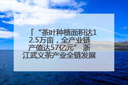 “茶叶种植面积达12.5万亩，全产业链产值达57亿元” 浙江武义茶产业全链发展“加速度”