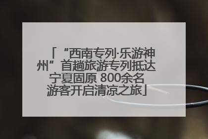 “西南专列·乐游神州”首趟旅游专列抵达宁夏固原 800余名游客开启清凉之旅
