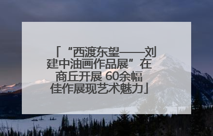 “西渡东望——刘建中油画作品展”在商丘开展 60余幅佳作展现艺术魅力