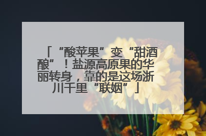 “酸苹果”变“甜酒酿”！盐源高原果的华丽转身，靠的是这场浙川千里“联姻”