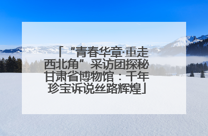 “青春华章·重走西北角”采访团探秘甘肃省博物馆：千年珍宝诉说丝路辉煌