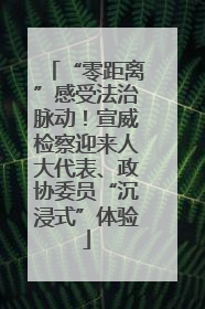 “零距离”感受法治脉动！宣威检察迎来人大代表、政协委员“沉浸式”体验