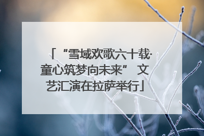 “雪域欢歌六十载·童心筑梦向未来” 文艺汇演在拉萨举行