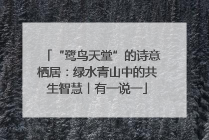 “鹭鸟天堂”的诗意栖居：绿水青山中的共生智慧丨有一说一