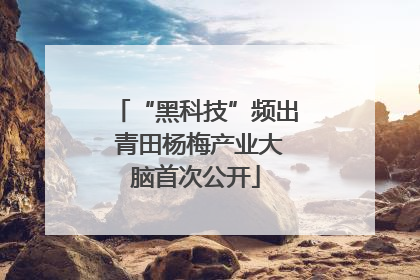 “黑科技”频出 青田杨梅产业大脑首次公开