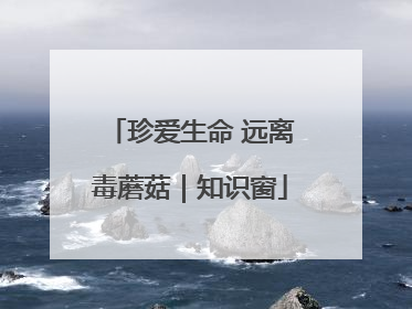 珍爱生命 远离毒蘑菇｜知识窗