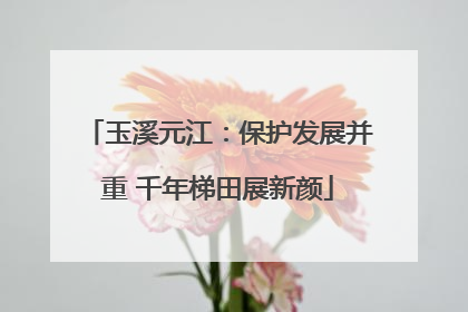 玉溪元江：保护发展并重 千年梯田展新颜