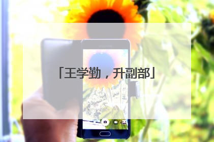 王学勤，升副部