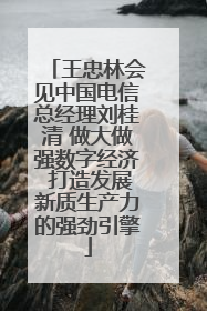 王忠林会见中国电信总经理刘桂清 做大做强数字经济 打造发展新质生产力的强劲引擎