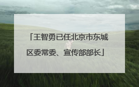 王智勇已任北京市东城区委常委、宣传部部长