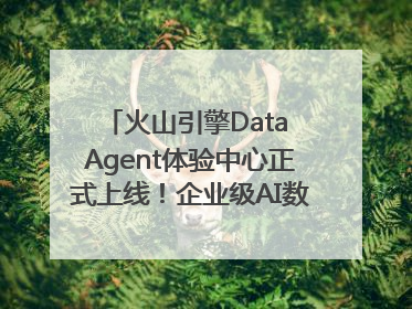 火山引擎Data Agent体验中心正式上线！企业级AI数据专家触手可及
