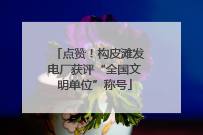 点赞！构皮滩发电厂获评“全国文明单位”称号