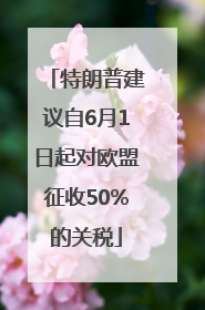 特朗普建议自6月1日起对欧盟征收50%的关税