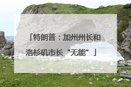 特朗普：加州州长和洛杉矶市长“无能”