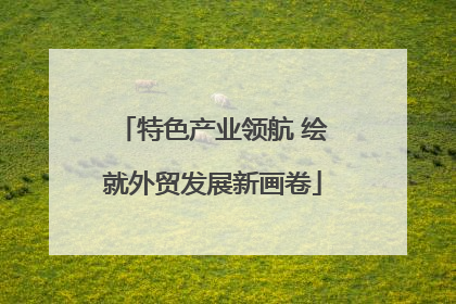 特色产业领航 绘就外贸发展新画卷