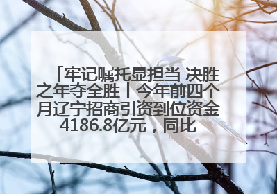 牢记嘱托显担当 决胜之年夺全胜丨今年前四个月辽宁招商引资到位资金4186.8亿元，同比增长17.4%