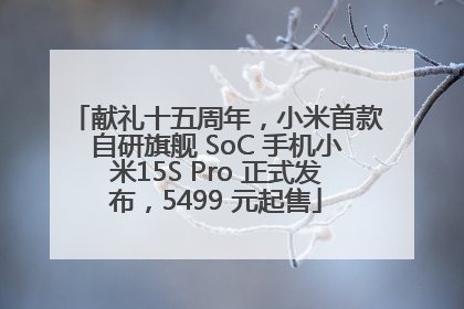 献礼十五周年，小米首款自研旗舰 SoC 手机小米15S Pro 正式发布，5499 元起售