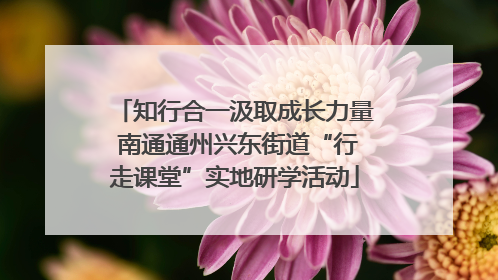 知行合一汲取成长力量 南通通州兴东街道“行走课堂”实地研学活动