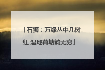 石狮：万绿丛中几树红 湿地荷塘韵无穷