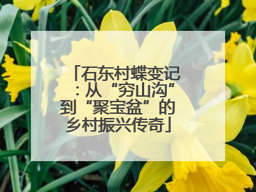 石东村蝶变记：从“穷山沟”到“聚宝盆”的乡村振兴传奇