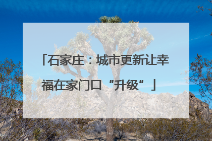 石家庄：城市更新让幸福在家门口“升级”