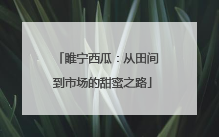 睢宁西瓜：从田间到市场的甜蜜之路