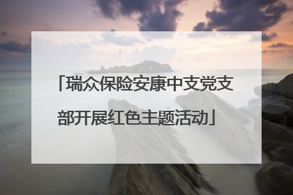 瑞众保险安康中支党支部开展红色主题活动