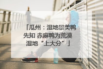 瓜州：湿地景美鸭先知 赤麻鸭为荒漠湿地“上大分”