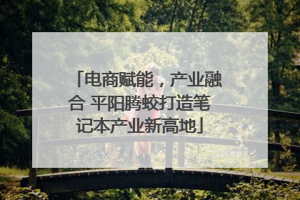 电商赋能，产业融合 平阳腾蛟打造笔记本产业新高地