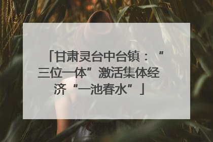 甘肃灵台中台镇：“三位一体”激活集体经济“一池春水”