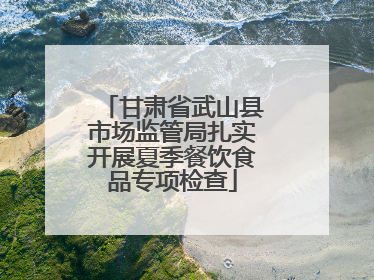 甘肃省武山县市场监管局扎实开展夏季餐饮食品专项检查