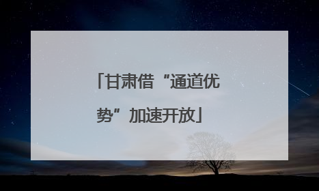 甘肃借“通道优势”加速开放