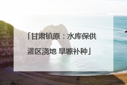 甘肃镇原：水库保供 灌区浇地 旱塬补种