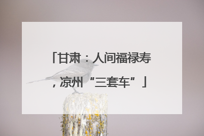 甘肃：人间福禄寿，凉州“三套车”