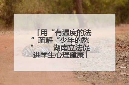 用“有温度的法”疏解“少年的愁”——湖南立法促进学生心理健康
