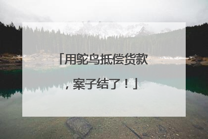 用鸵鸟抵偿货款，案子结了！