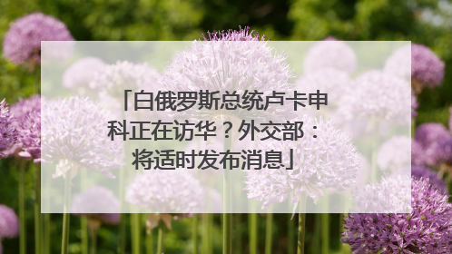 白俄罗斯总统卢卡申科正在访华？外交部：将适时发布消息