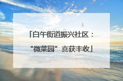 白午街道振兴社区：“微菜园”喜获丰收
