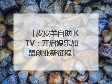 皮皮羊自助 KTV：开启娱乐加盟创业新征程