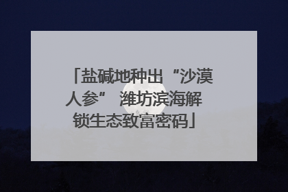 盐碱地种出“沙漠人参” 潍坊滨海解锁生态致富密码