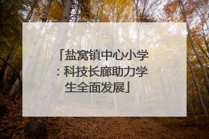 盐窝镇中心小学：科技长廊助力学生全面发展
