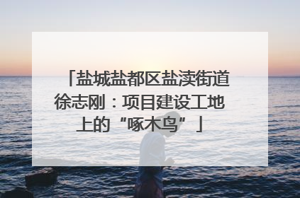 盐城盐都区盐渎街道徐志刚：项目建设工地上的“啄木鸟”
