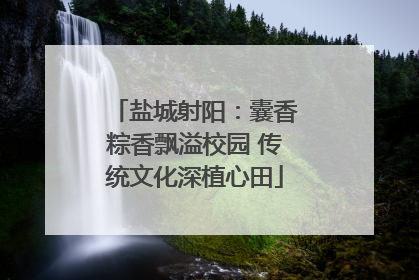 盐城射阳:囊香粽香飘溢校园 传统文化深植心田