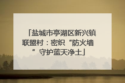 盐城市亭湖区新兴镇联盟村：密织“防火墙”守护蓝天净土