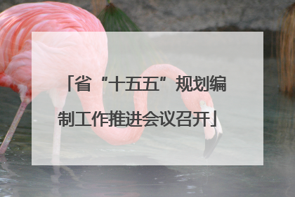 省“十五五”规划编制工作推进会议召开