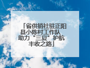 省供销社驻正阳县小陈村工作队 助力“三夏”护航丰收之路