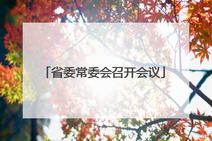 省委常委会召开会议